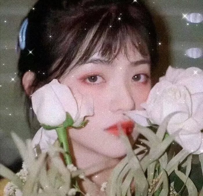 甜甜圈之王