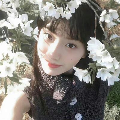 校园风暴